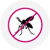 mosquito
